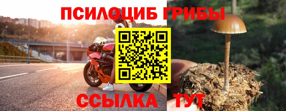 Псилоцибиновые грибы MAGIC MUSHROOMS Новороссийск