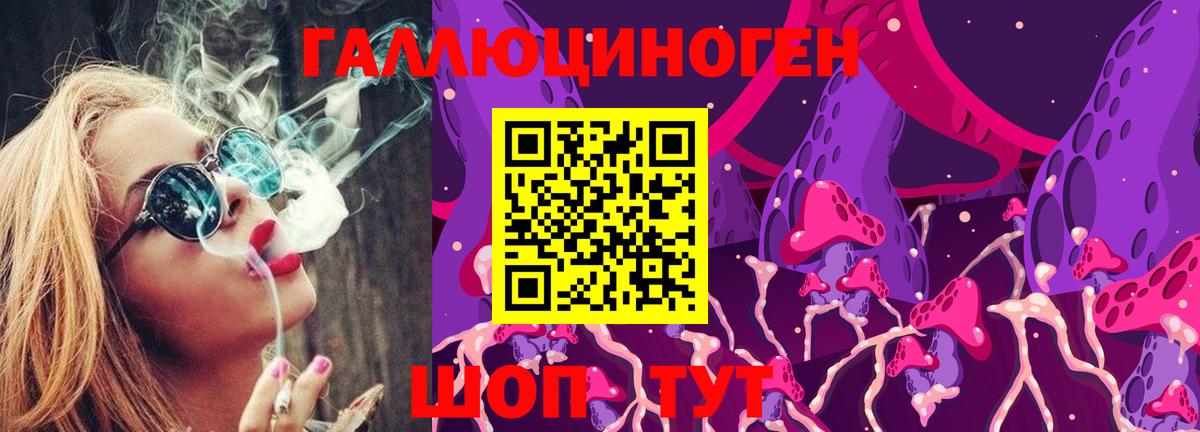 Новороссийск  купить закладку  Галлюциногенные грибы мухоморы  Вход с VPN  Галлюциногенные грибы мухоморы 